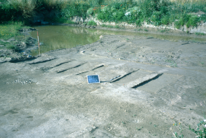 Una necropoli longobarda tra rovine romane (ex area Scheibler-Pisa)